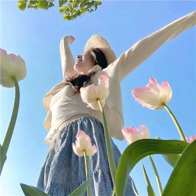 高达神曲