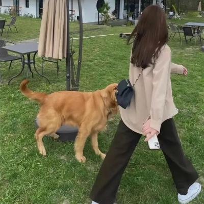 娘家的故事之爱的代价
